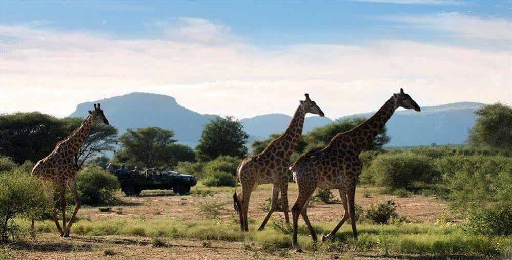 Marataba Safari Co 호텔 Marakele National Park 외부 사진