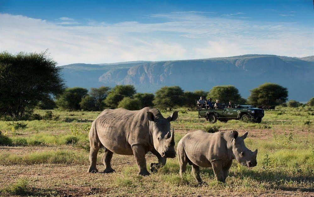 Marataba Safari Co 호텔 Marakele National Park 외부 사진