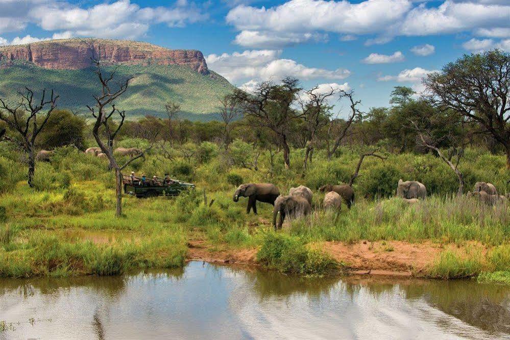 Marataba Safari Co 호텔 Marakele National Park 외부 사진